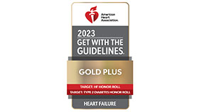 gwtg 2023 heart failure gold plus award badge