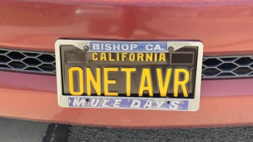 ONETAVR license plate