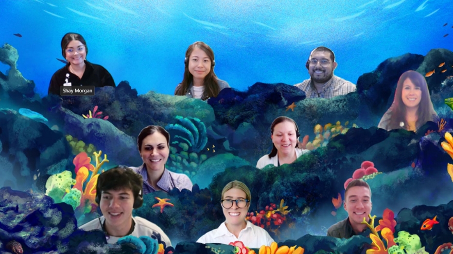 The Patient Experience team takes a photo "underwater" during their virtual huddle.